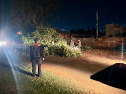 Prefeitura dá rápida resposta em atendimentos após vendaval em Dourados