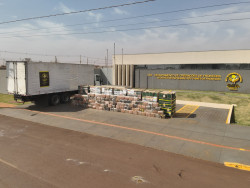 Dupla é presa com 2,7 toneladas de droga em meio à carga de ovos de galinha