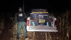 DOF recupera caminhonete furtada no Paraná e apreende quase 1t de droga