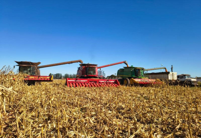 Região sul apresenta o maior avanço, com média de 70,4% da área colhida (Foto: Aprosoja)