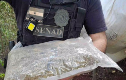 Polícia fecha laboratório de produção de skunk na fronteira de MS