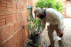 Mato Grosso do Sul registra 7.865 casos confirmados de dengue