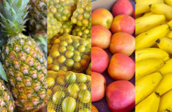 Explosão de cores e sabores: As frutas campeãs de vendas na Ceasa de Mato Grosso do Sul