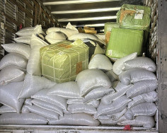 Caminhoneiro é preso com produtos contrabandeados em carga de sementes de girassol