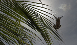 Passagem de frente fria traz chuva e ameniza calor em Mato Grosso do Sul