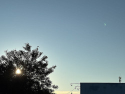 Dia de sol, céu limpo e máxima de 23ºC em Dourados