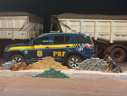 Motorista é preso com carga de minério que escondia 133 quilos de cocaína e maconha