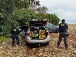 Fuga alucinante: motorista do tráfico é perseguido pelo DOF em ix35 roubada