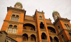 Fiocruz produz remédio para atrofia muscular espinhal