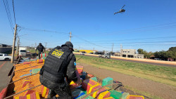 Carga de droga apreendida pelo DOF em Amambai pesou 15 toneladas