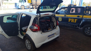 Perseguição termina em prisões e 804 quilos de maconha apreendidos