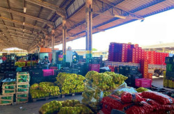 Volume comercializado aumenta 18,7% e amplia participação de MS na Ceasa