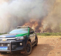 Operação para combater queimadas ilegais aplica quase R$ 2 milhões em multas no primeiro mês