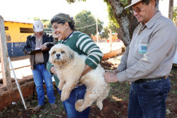Prefeitura segue com vacinação antirrábica itinerante em setembro