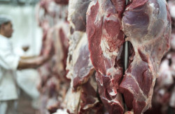 Exportações somam US$ 7,24 bi até agosto e carne bovina cresce 43,7% no acumulado do ano