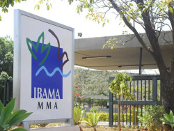 Governo autoriza nomeação de 460 aprovados em concurso do Ibama