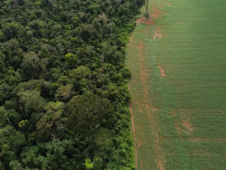 Estados e DF devem padronizar Autorização de Supressão de Vegetação