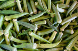 Com boa oferta, preço da quiabo cai 10%, mas maracujá sobe na Ceasa