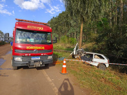 Motorista de carro com cigarro perde controle, bate em coqueiro e morre na MS-276