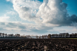 MP invesiga produtor rural por desmatamento e emissão de mil toneladas de carbono