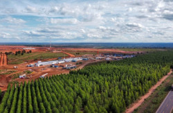 Governo investe em acessos estratégicos para impulsionar setor da celulose em MS