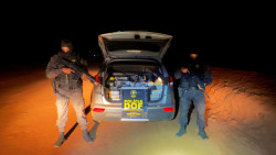 DOF prende casal e apreende 280 quilos de droga que seguiam para o interior paulista