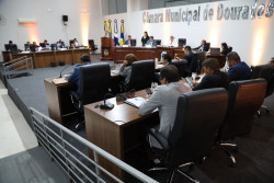 Vereadores aprovam projeto que pune "abandono disfarçado" de animais com multa de R$ 6 mil