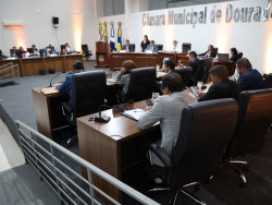 Vereadores aprovam projeto que pune "abandono disfarçado" de animais com multa de R$ 6 mil