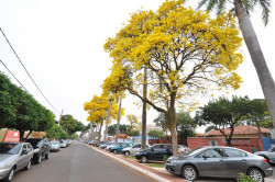 Defesa Civil alerta para calor elevado, chuvas irregulares e risco de tempestades na primavera