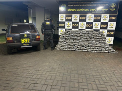 Jovem é preso pelo DOF com R$ 2,2 milhões em skunk no Canaã I