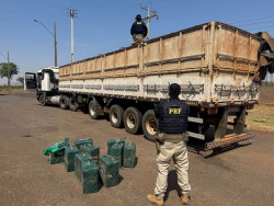 Caminhoneiro tenta fugir a pé, mas acaba detido com 329 quilos de cocaína