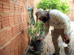 Mato Grosso do Sul registra 8.052 casos confirmados de dengue