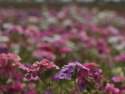 Primavera começa com chegada de frente fria, temporais e fortes ventos