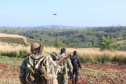 Operação retira quase 600 toneladas de maconha de circulação na fronteira