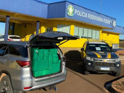 Rapaz é preso com caminhonete roubada e lotada de maconha