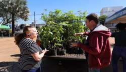 Para celebrar a Semana da Árvore, prefeitura distribui mil mudas nativas e frutíferas