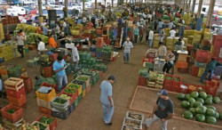 Saiba de onde vem os produtos mais vendidos na Ceasa de MS