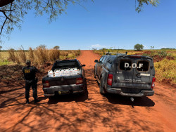 DOF apreende carga de agrotóxico avaliada em R$ 500 mil na fronteira