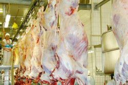 Mesmo com tarifaço de Trump, exportações de proteína bovina de MS aumentam 43,7% no ano