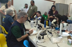 MS antecipa combate à Febre Oropouche por meio de testagem e coleta de vetores