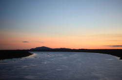 Pré-COP30 Bioma Pantanal acontece em Campo Grande no dia 30 de setembro