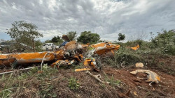 Avião bateu em árvore antes de atingir o solo, aponta relatório preliminar do Cenipa