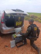 Jovem é preso e adolescente apreendida com drogas em forno elétrico