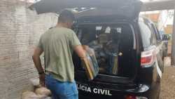 Polícia Civil apreende 1 tonelada de maconha em área de lazer abandonada em Dourados