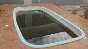 Piscina abandonada na casa (Foto: Leandro Holsbach)