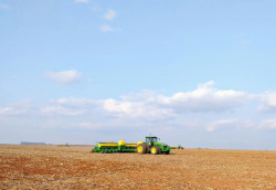Colheita do milho é concluída em Mato Grosso do Sul; confira os dados