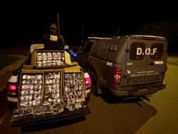 Mulher é presa com quase 100 quilos de haxixe em meio a carga de material hospitalar