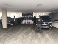 DOF recupera caminhonetes furtadas e apreende quase 3,7 toneladas de drogas