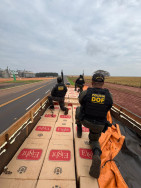 DOF apreende caminhão com 27,5 mil pacotes de cigarros contrabandeados
