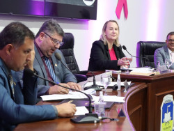 Vereadores de Dourados aprovam criação do Selo Empresa Amiga da Mulher